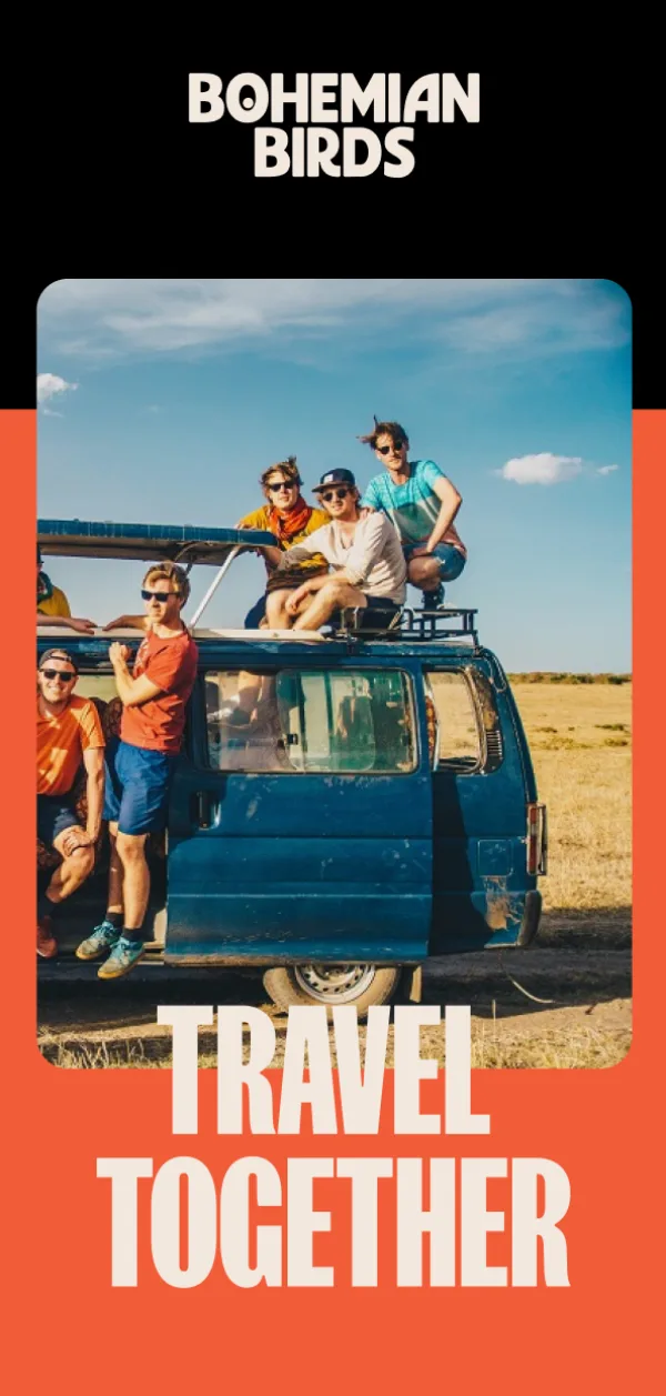 Bohemian birds mobile 1