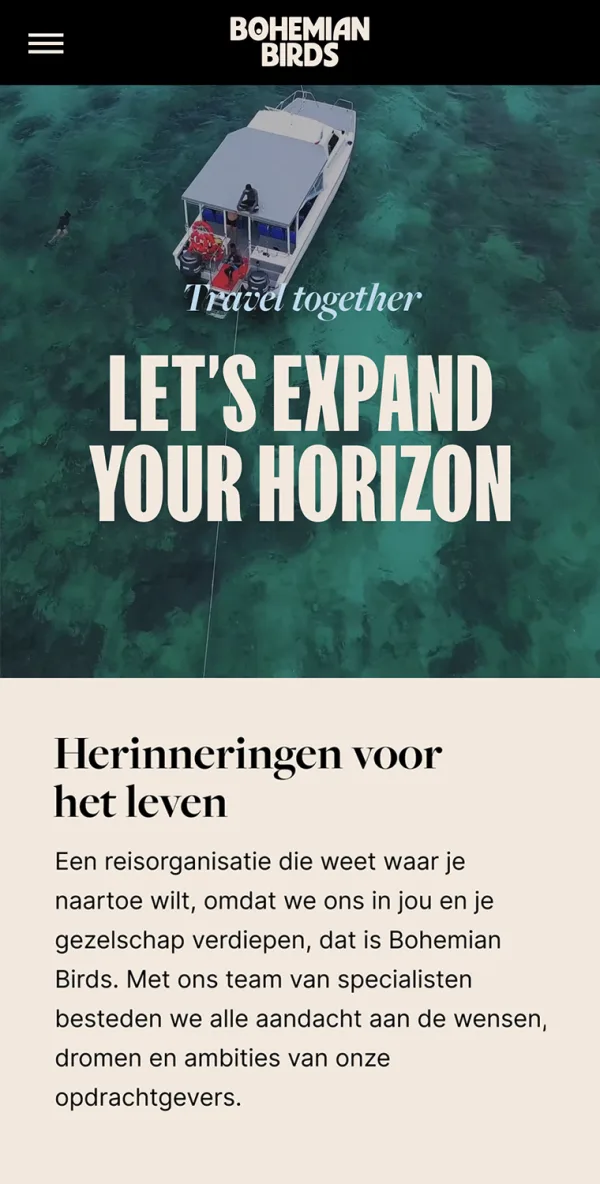 Bohemian birds mobile 2