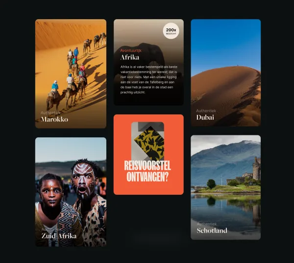 Bohemian birds shot 2