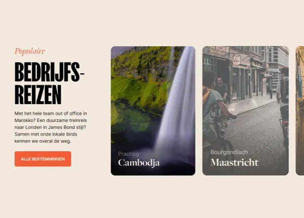 Bohemian birds square 4